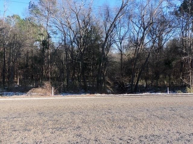 42 acres in Gregg County - photo 5