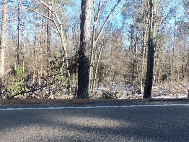 42 acres in Gregg County - photo 7