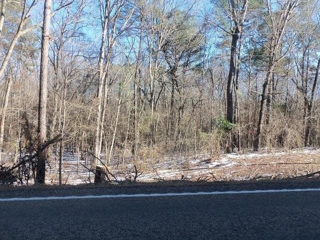 42 acres in Gregg County - photo 4
