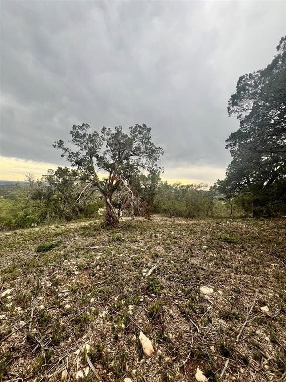 10 acres in Travis County - photo 17