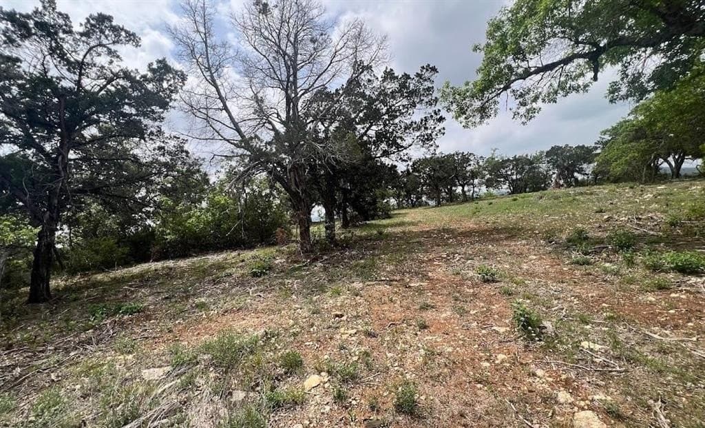 10 acres in Travis County - photo 13