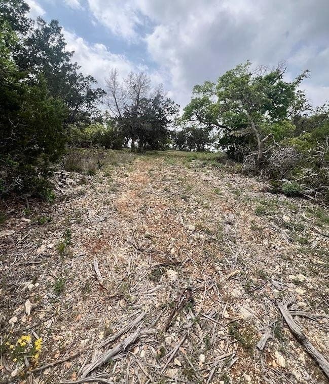 10 acres in Travis County - photo 11