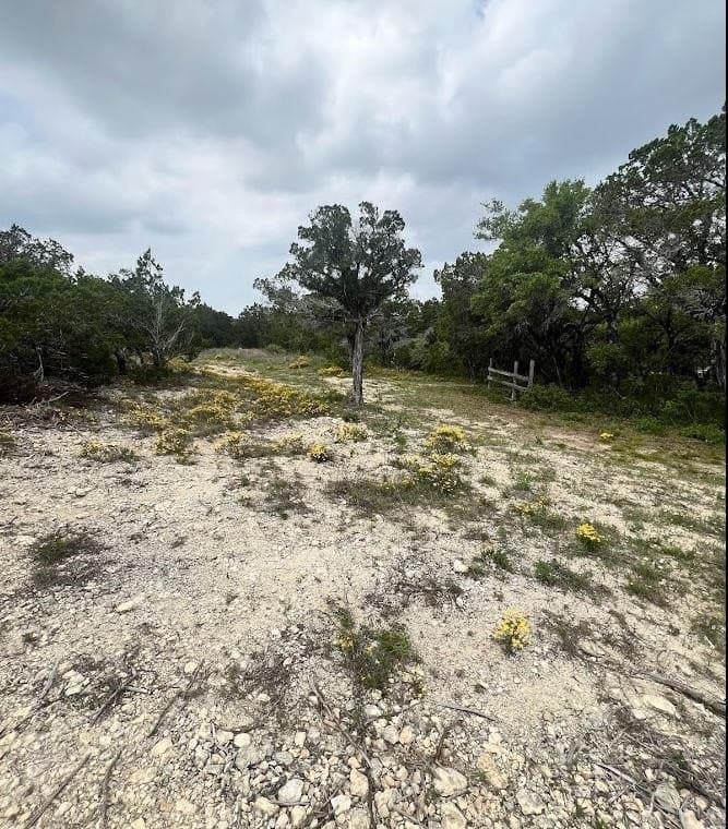 10 acres in Travis County - photo 14