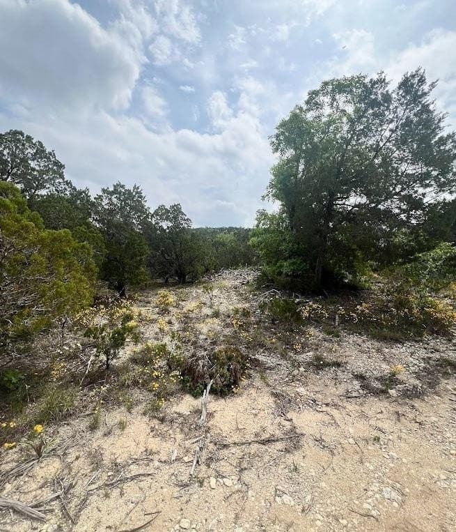 10 acres in Travis County - photo 9