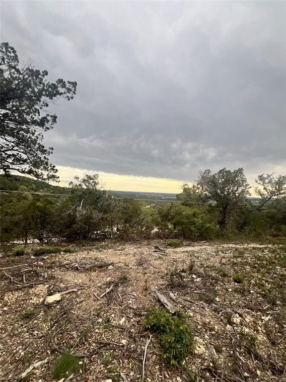 10 acres in Travis County - photo 3