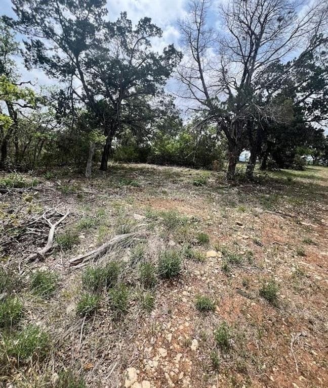 10 acres in Travis County - photo 12
