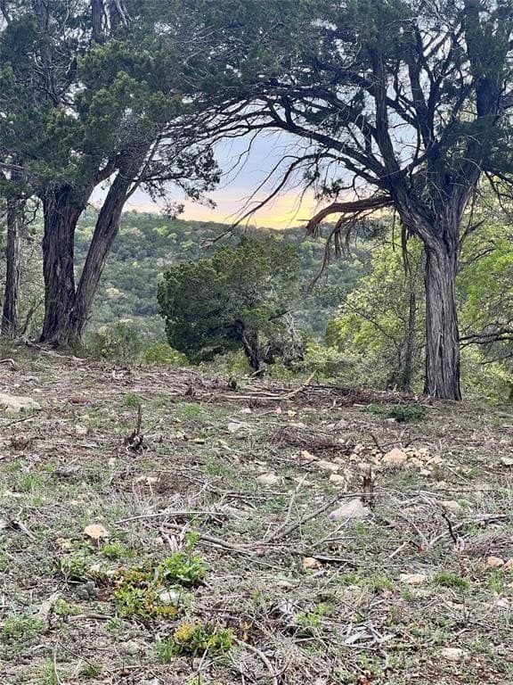 10 acres in Travis County - photo 5