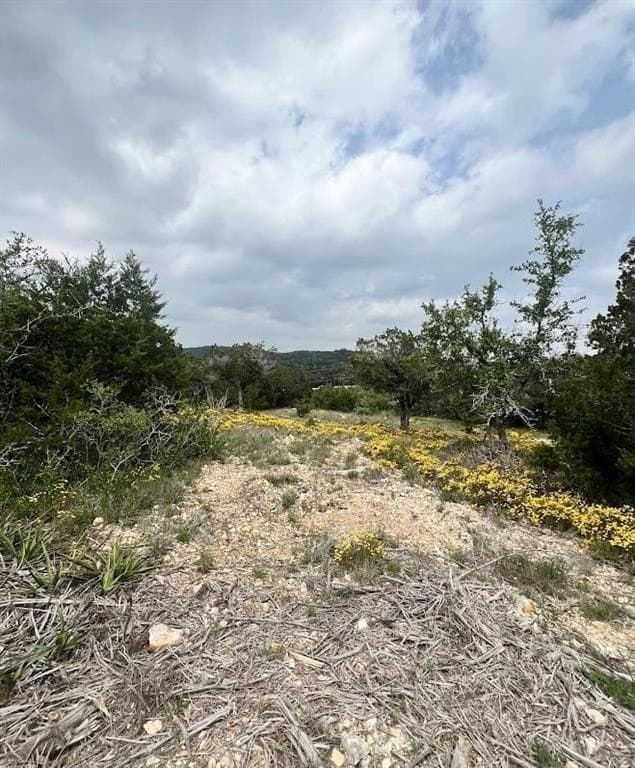 10 acres in Travis County - photo 10