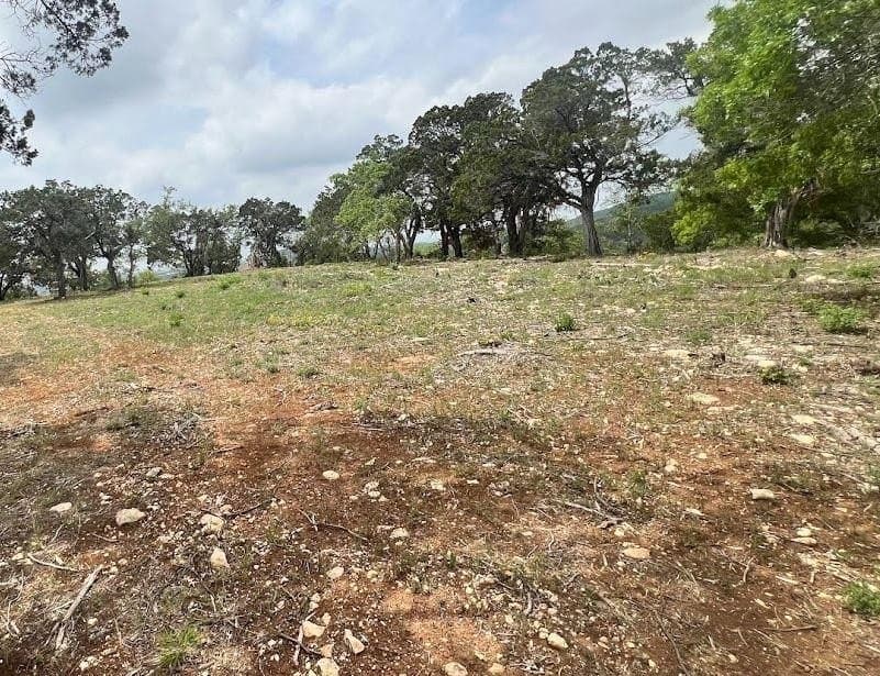 10 acres in Travis County - photo 4