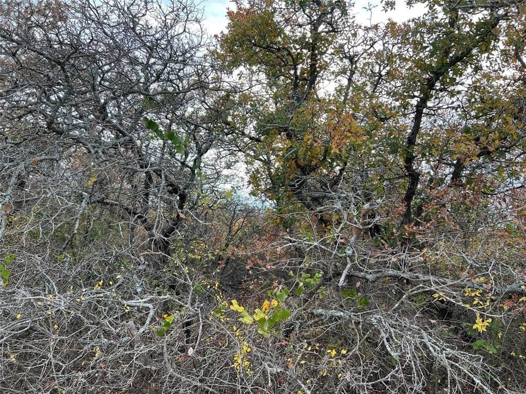 10.01 acres in Hamilton County - photo 14