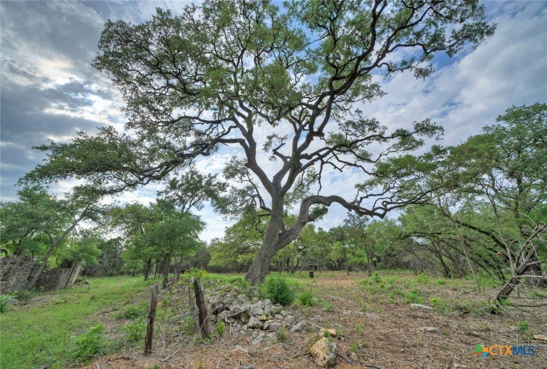 14.55 acres in Travis County - photo 6