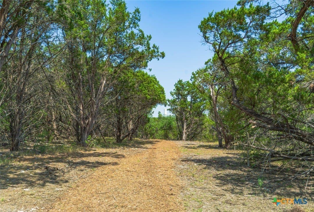 14.55 acres in Travis County - photo 9
