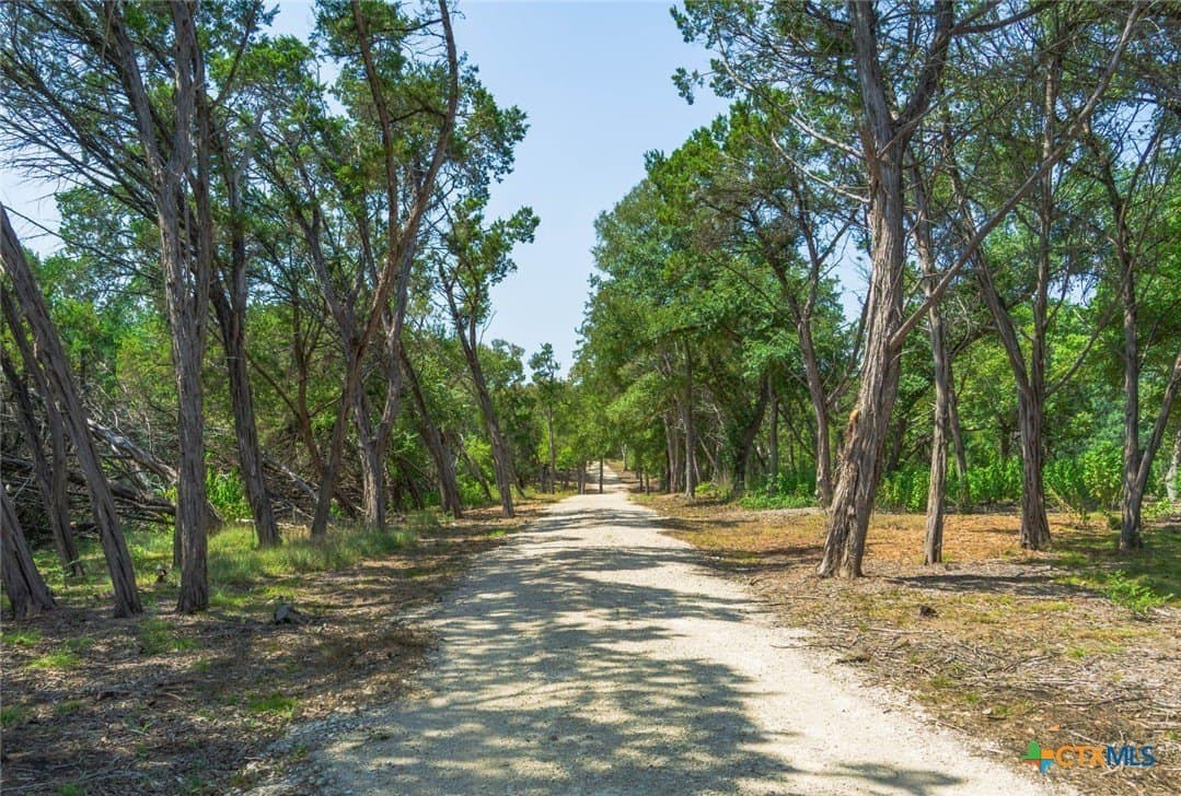 14.55 acres in Travis County - photo 11