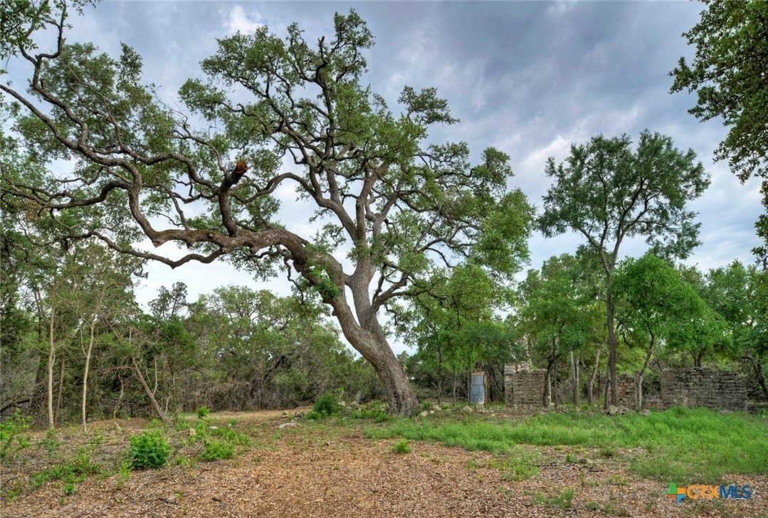 14.55 acres in Travis County - photo 23