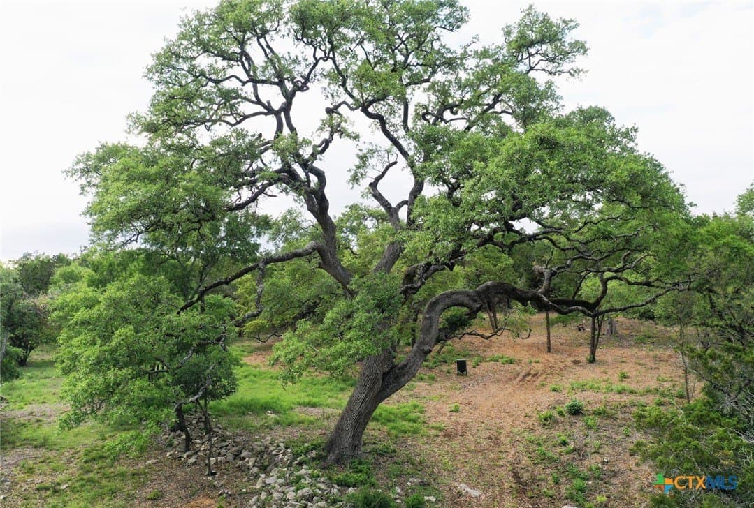 14.55 acres in Travis County - photo 7