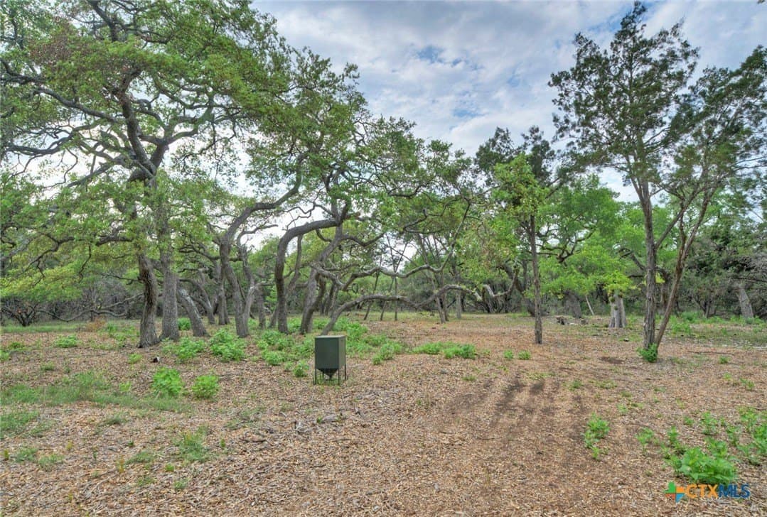 14.55 acres in Travis County - photo 17