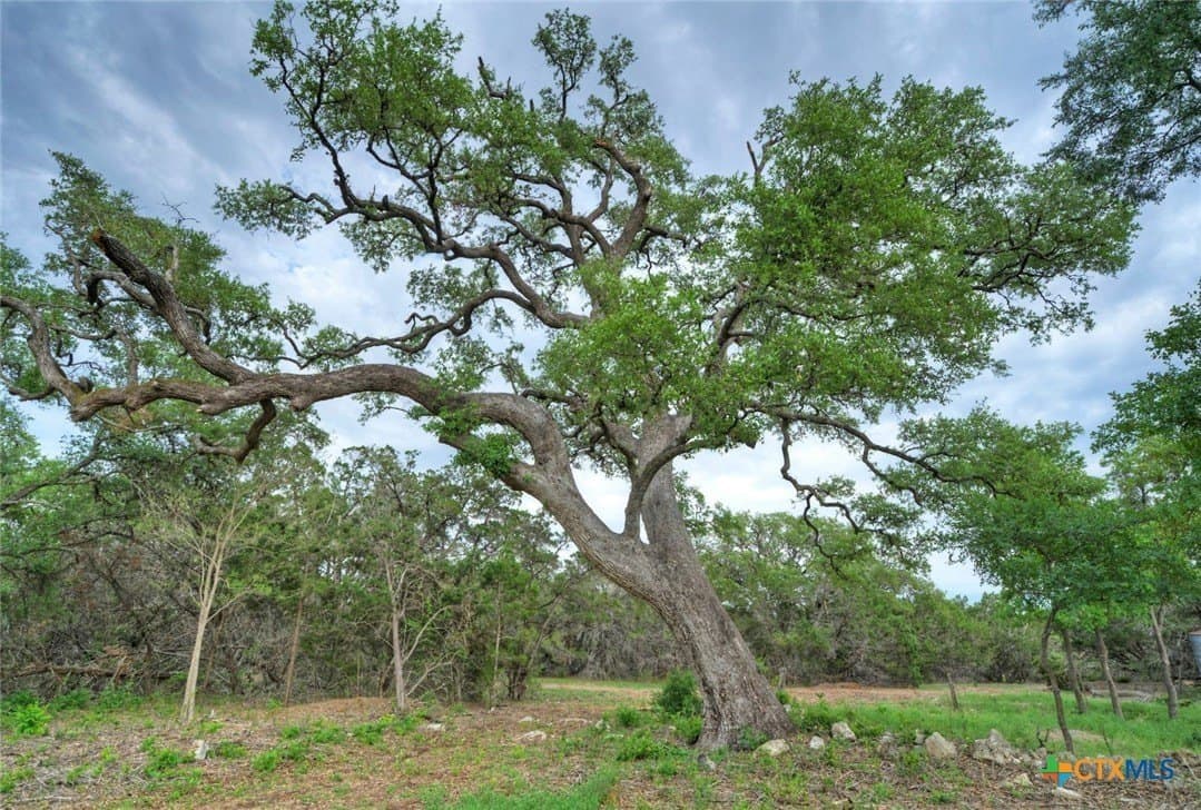 14.55 acres in Travis County - photo 24