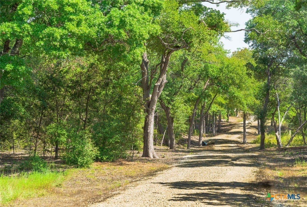 14.55 acres in Travis County - photo 15