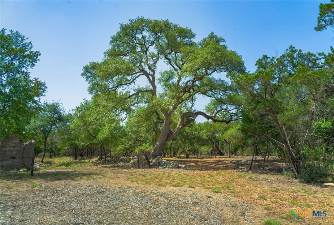 14.55 acres in Travis County - photo 13