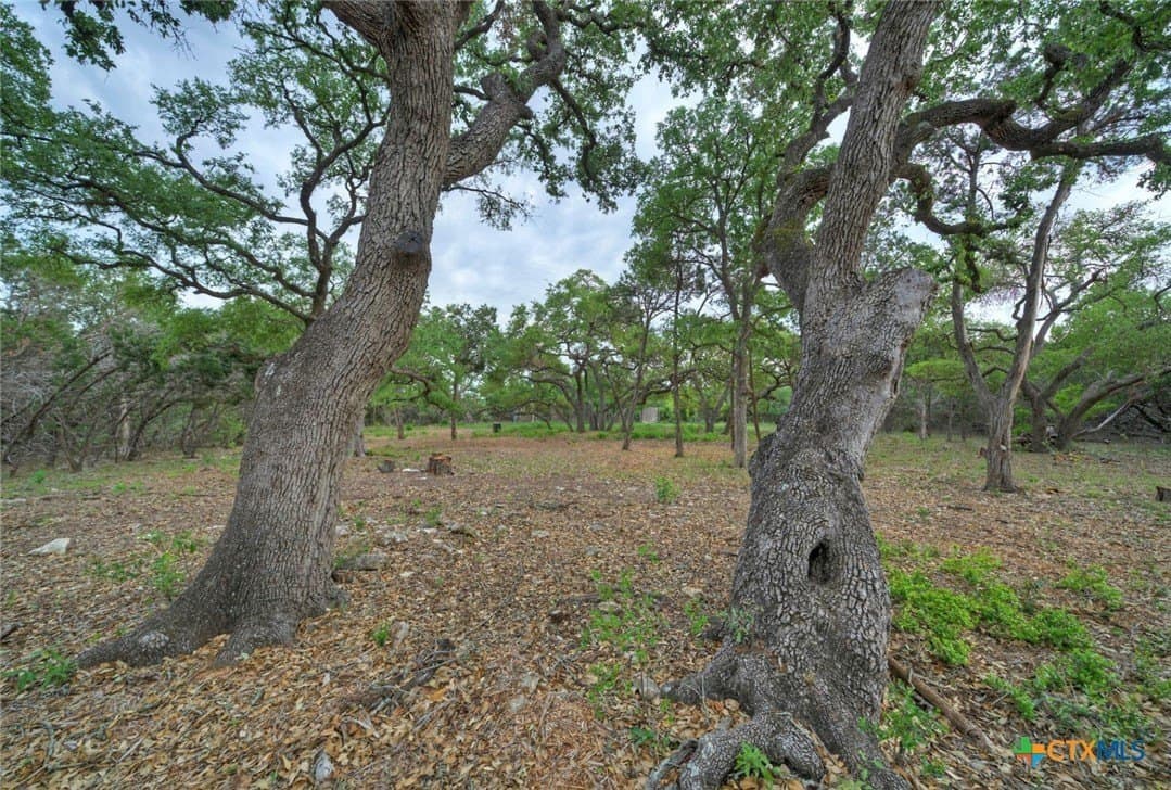 14.55 acres in Travis County - photo 21