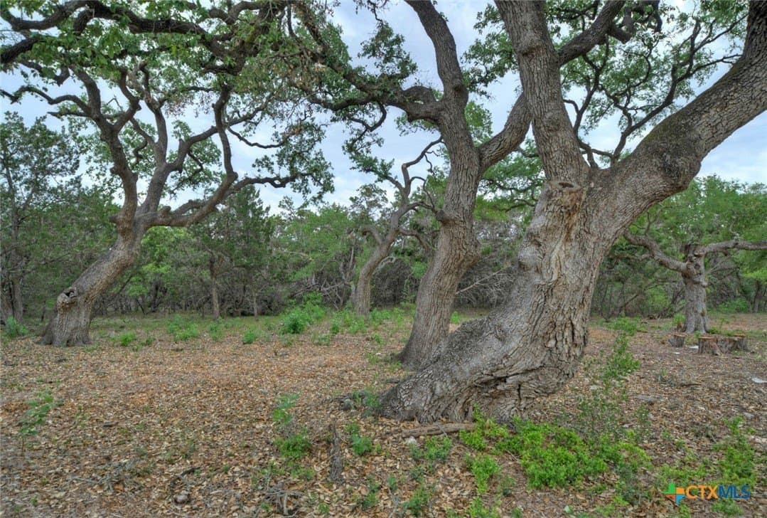 14.55 acres in Travis County - photo 20