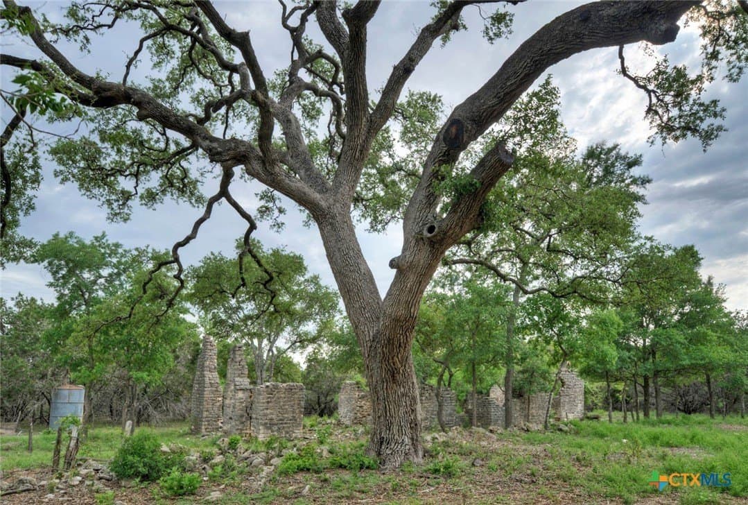 14.55 acres in Travis County - photo 10