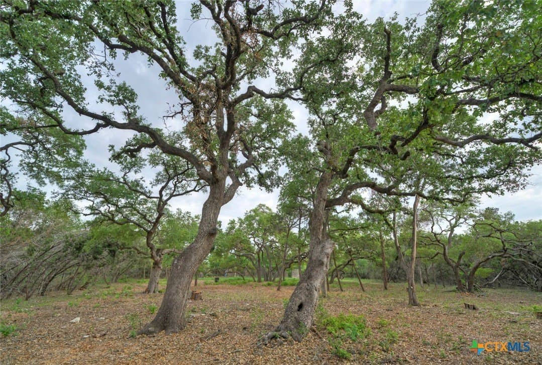 14.55 acres in Travis County - photo 22