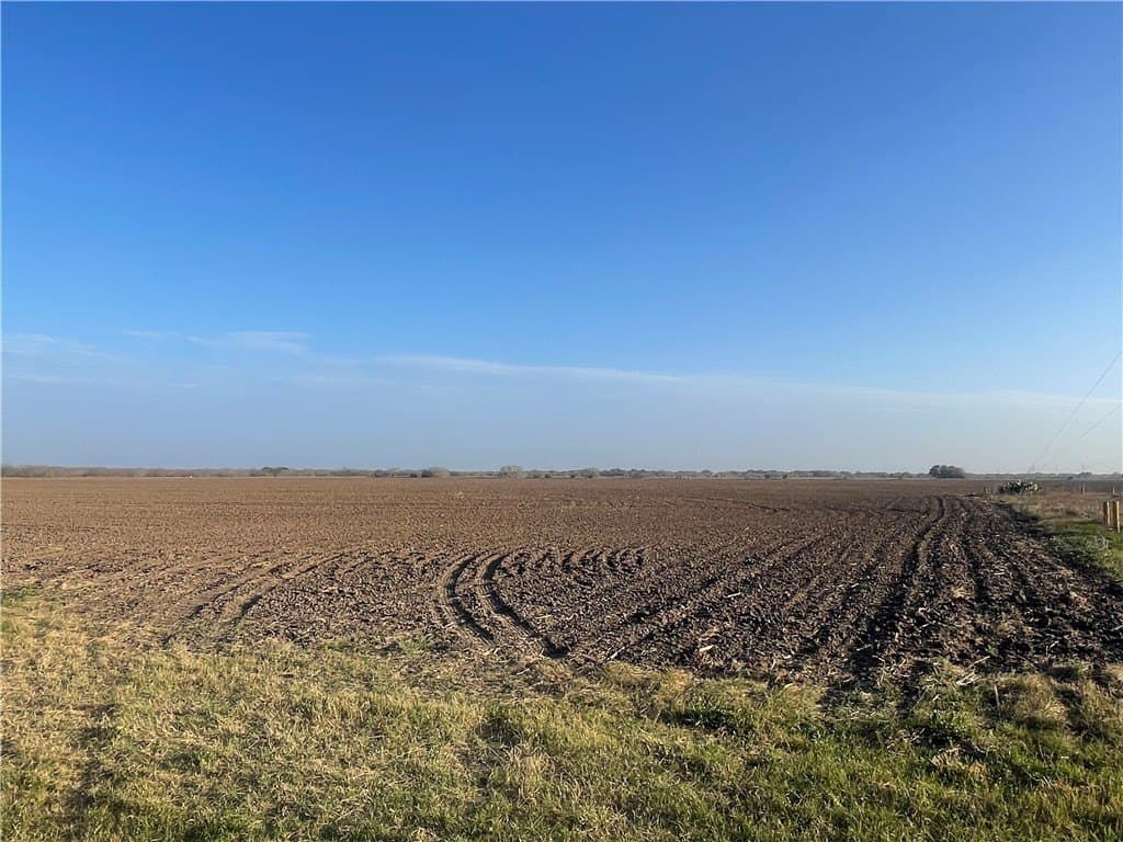 11 acres in San Patricio County - photo 2