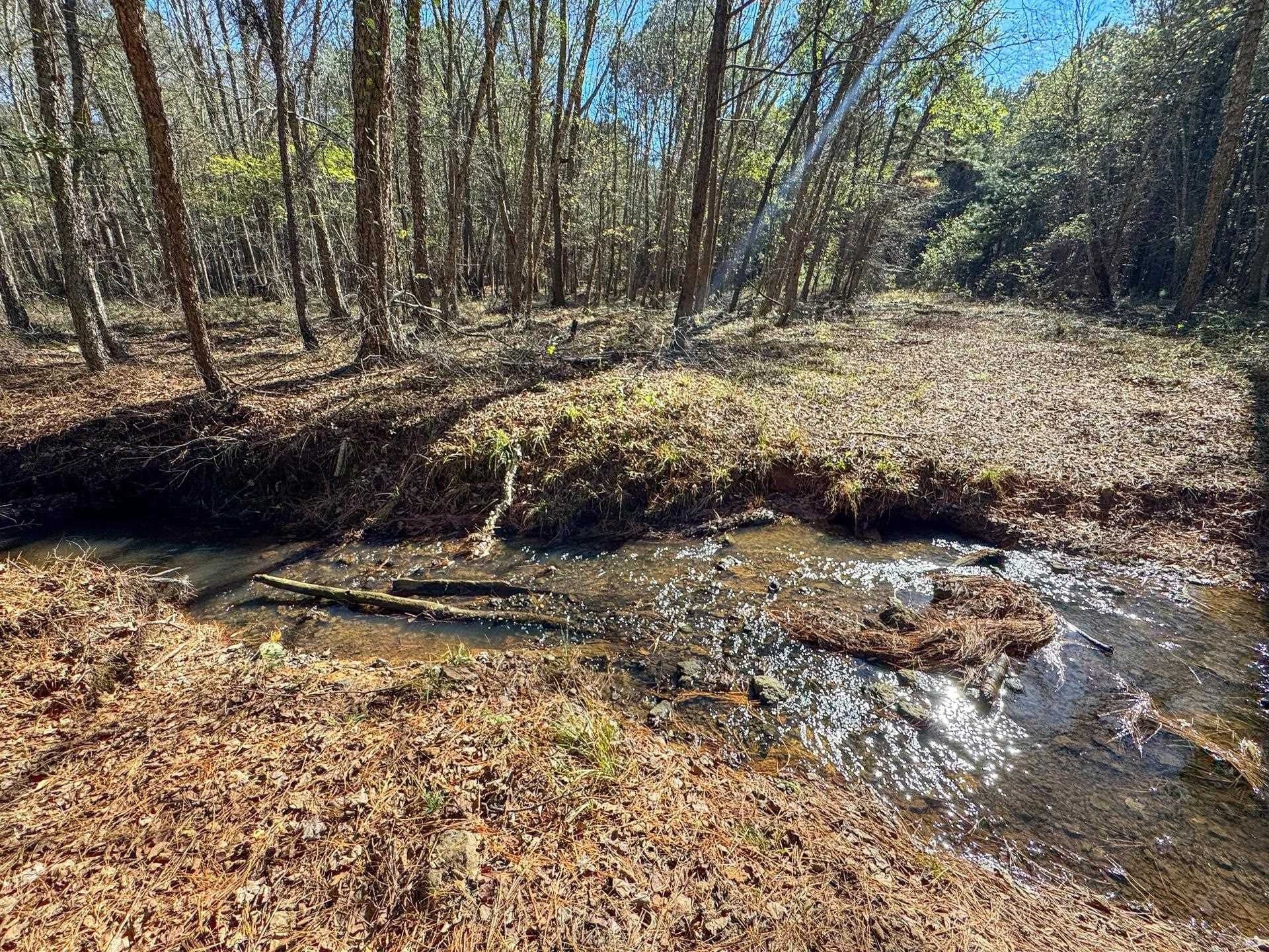 41.28 acres in Cass County - photo 7
