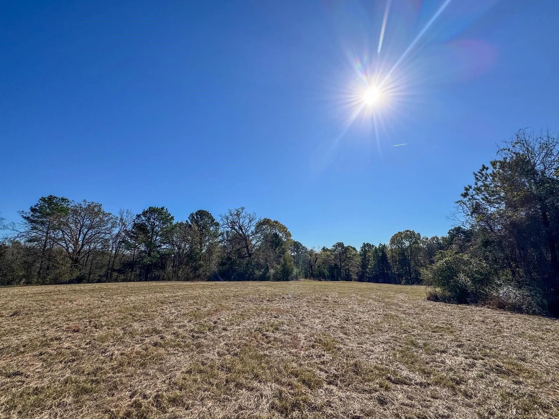 41.28 acres in Cass County - photo 23