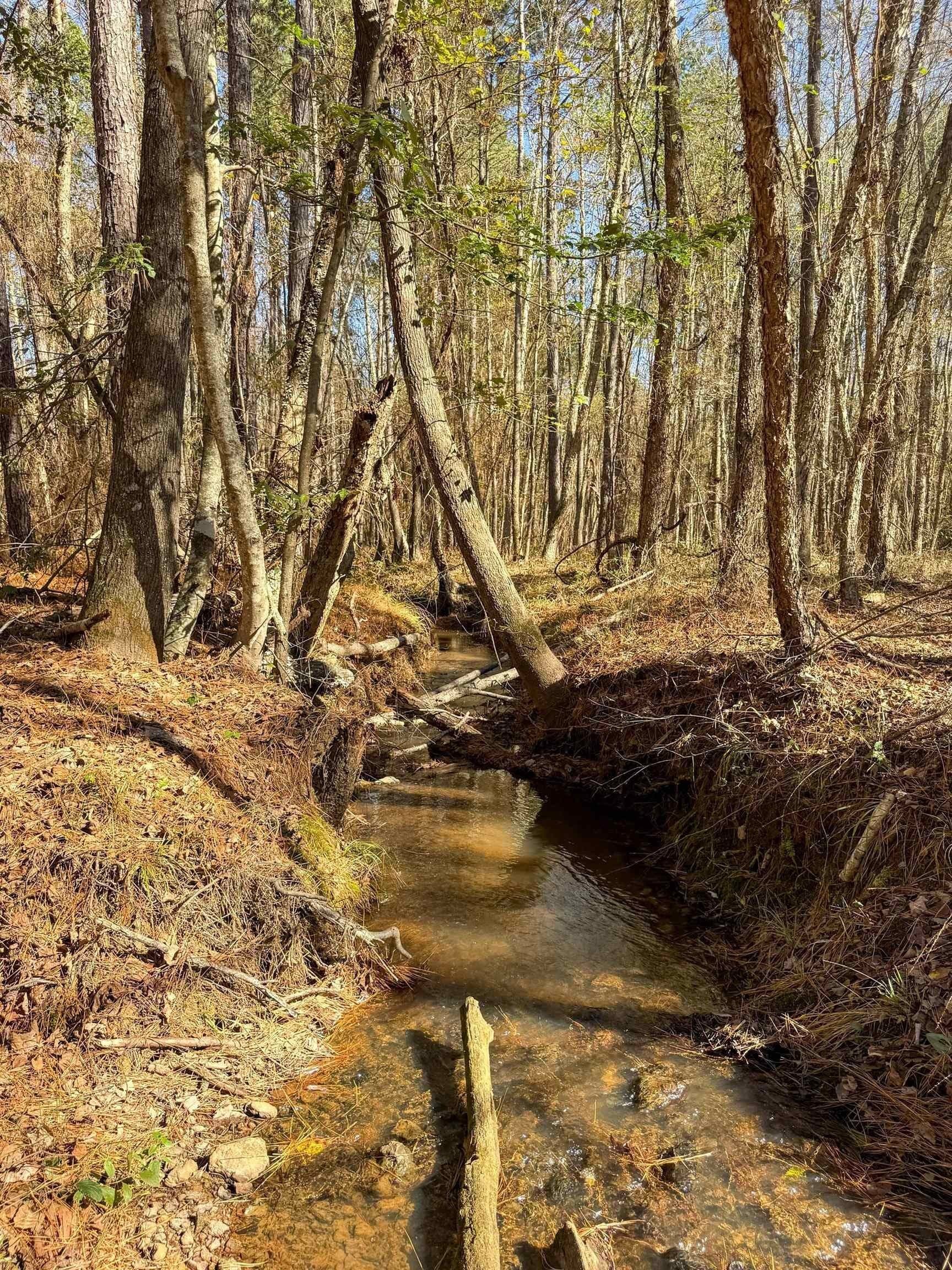 41.28 acres in Cass County - photo 8