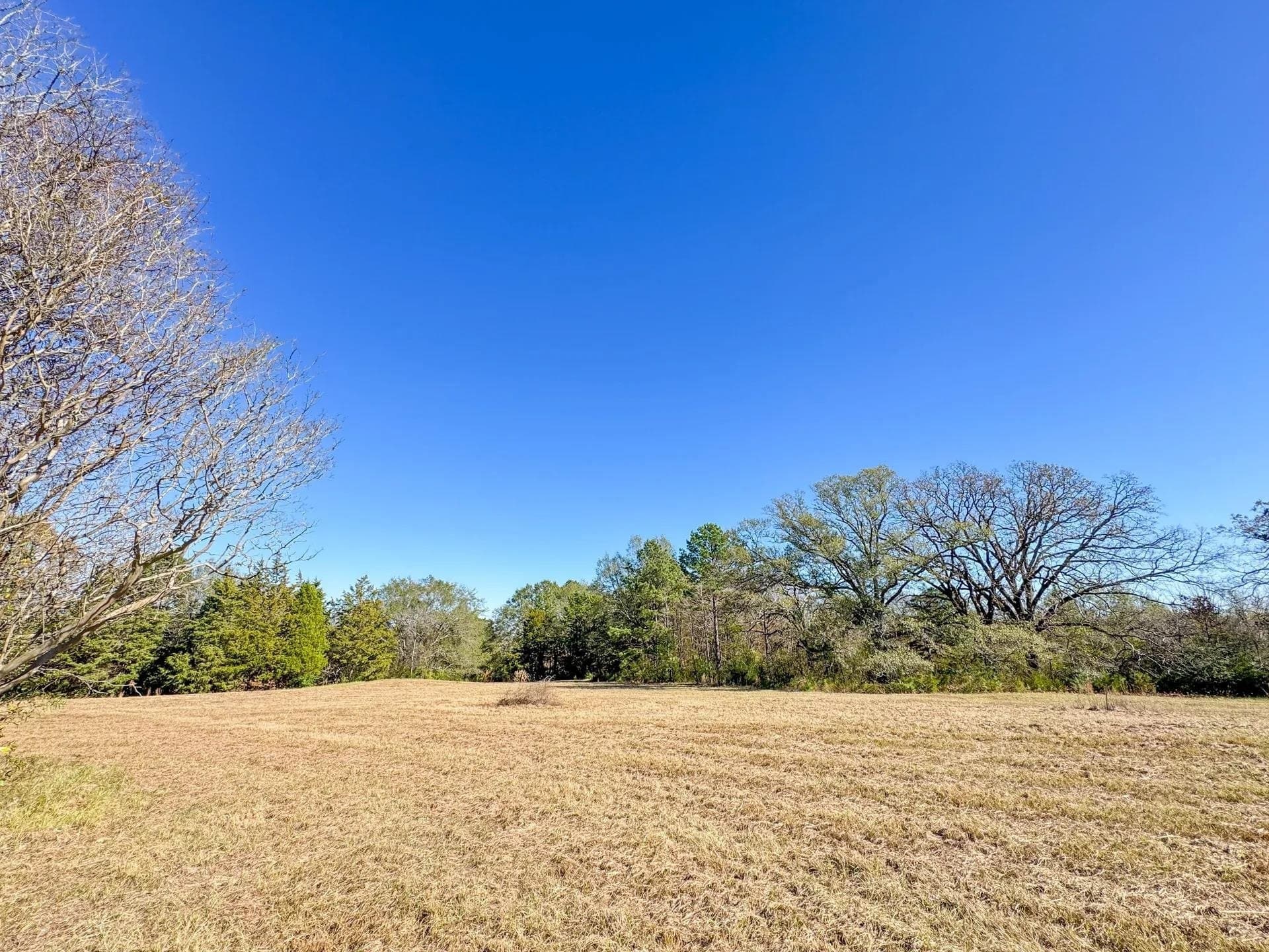 41.28 acres in Cass County - photo 20