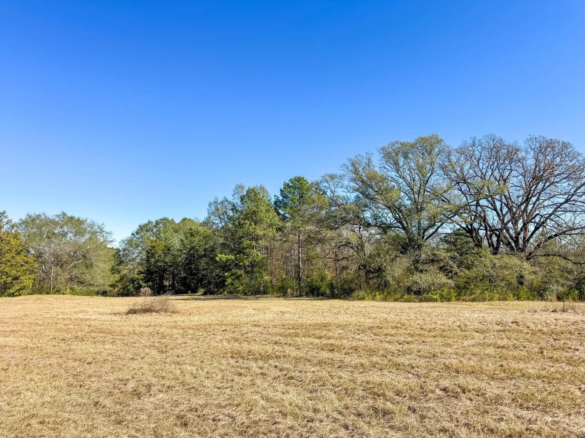 41.28 acres in Cass County - photo 21