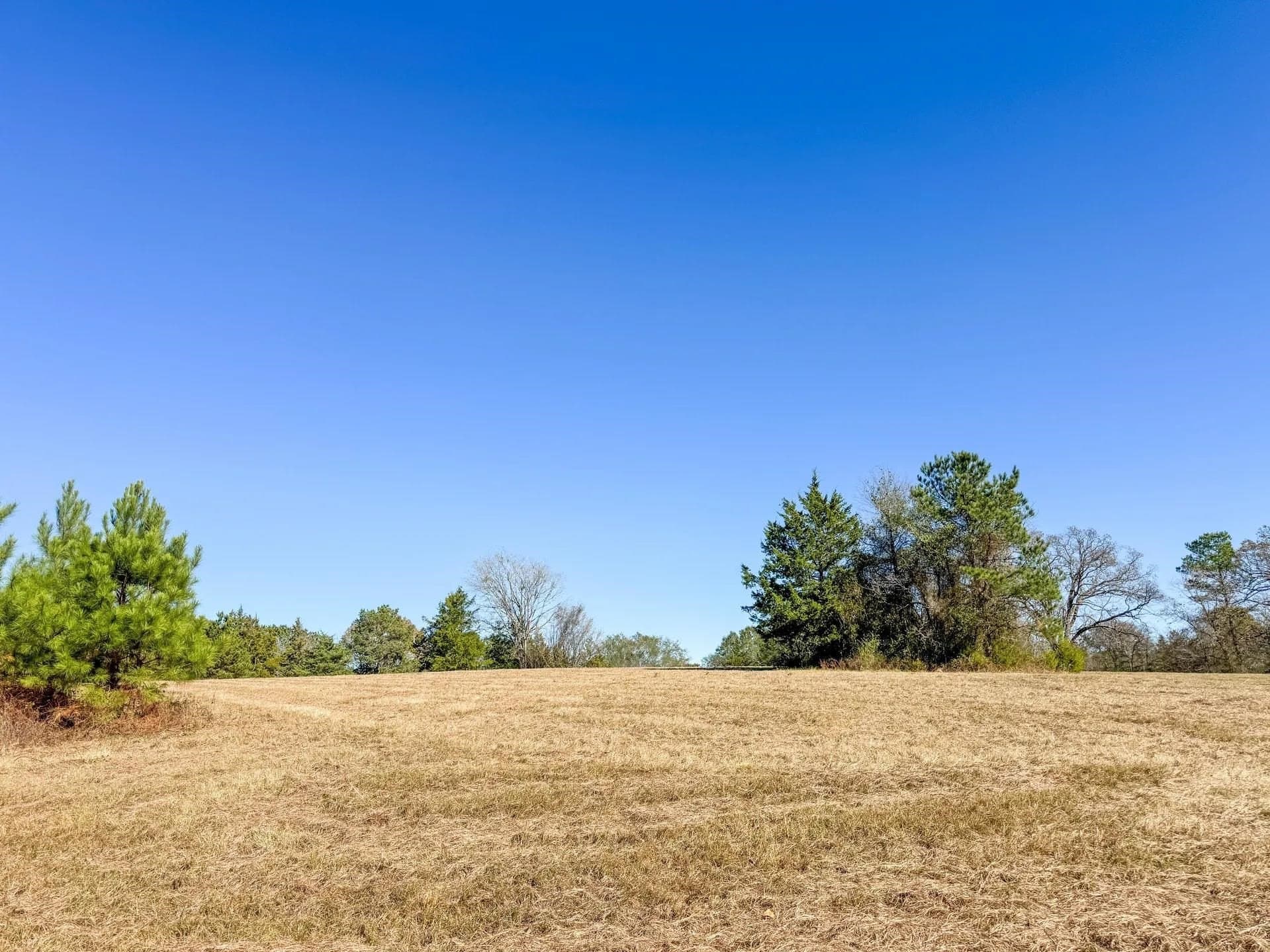 41.28 acres in Cass County - photo 22