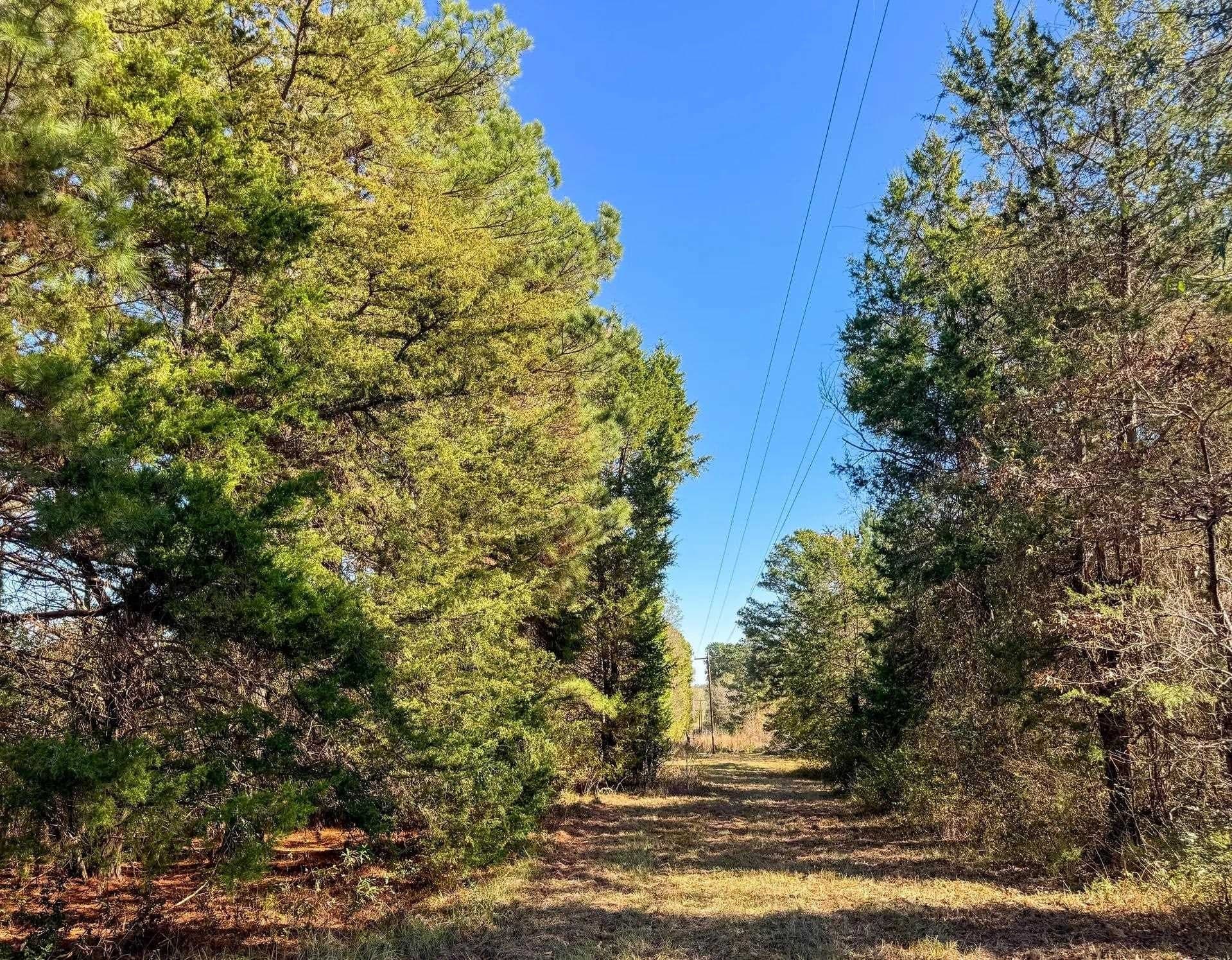 41.28 acres in Cass County - photo 24