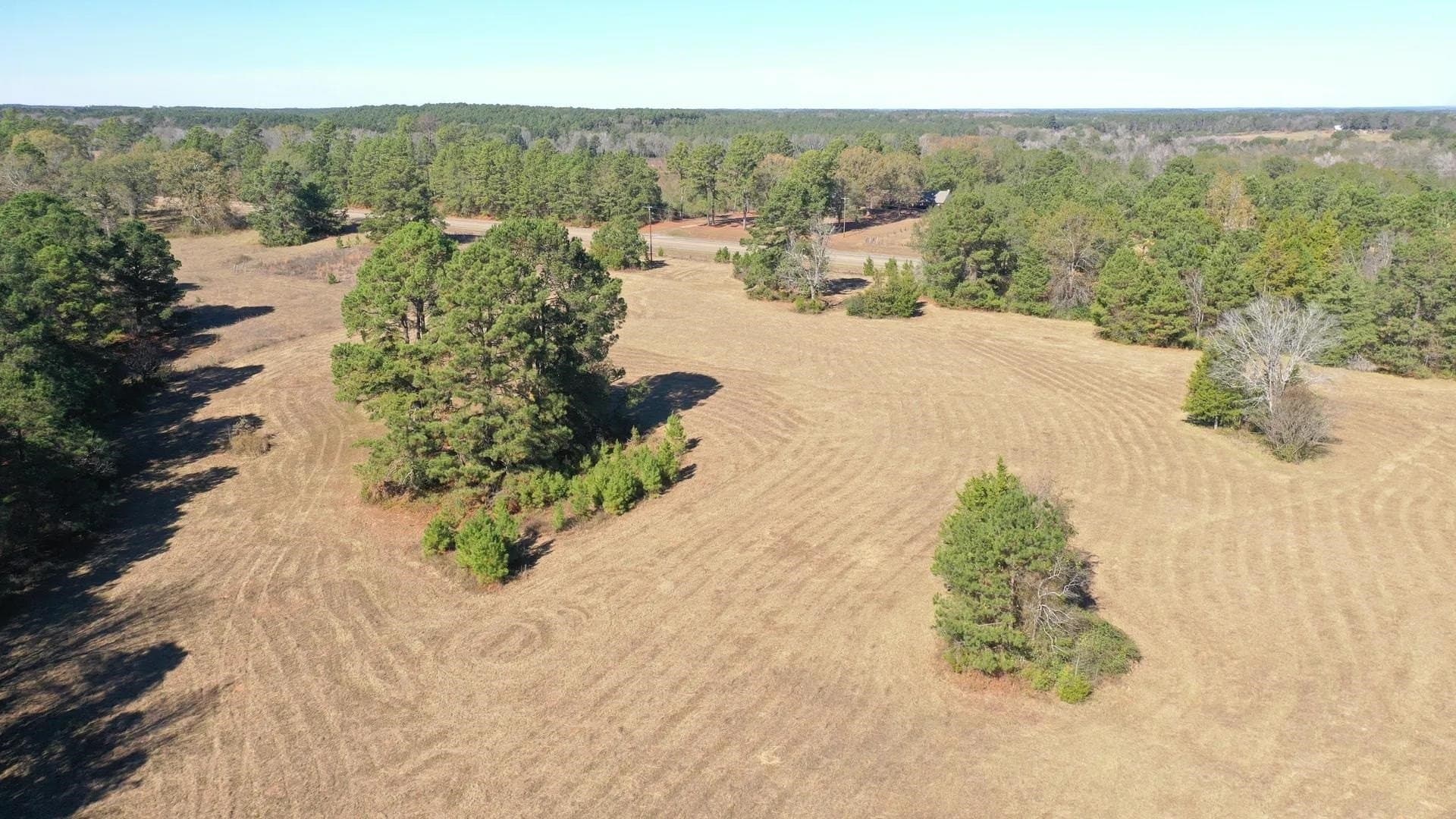 41.28 acres in Cass County - photo 3
