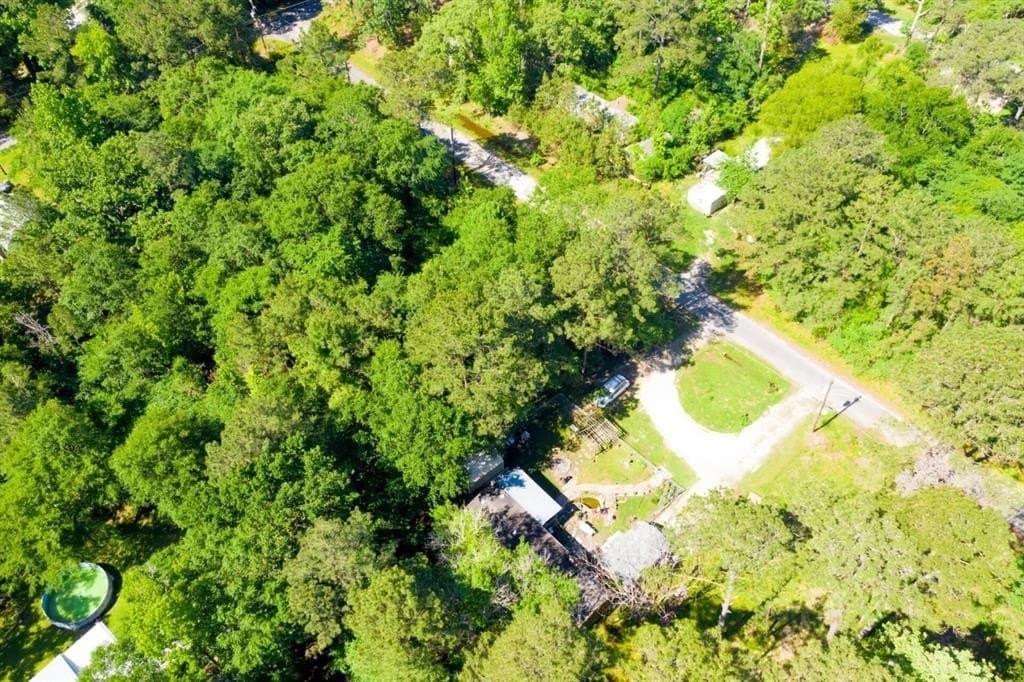 0.26 acres in Trinity County - photo 7