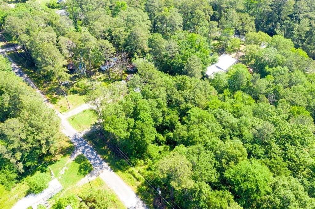 0.26 acres in Trinity County - photo 13