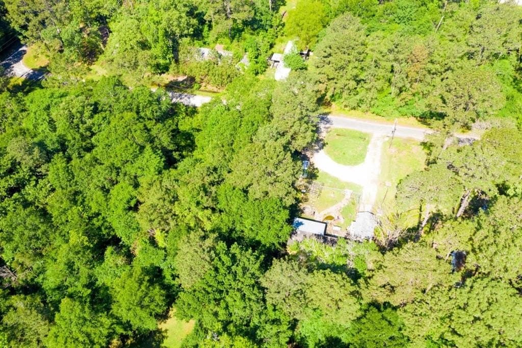 0.26 acres in Trinity County - photo 8