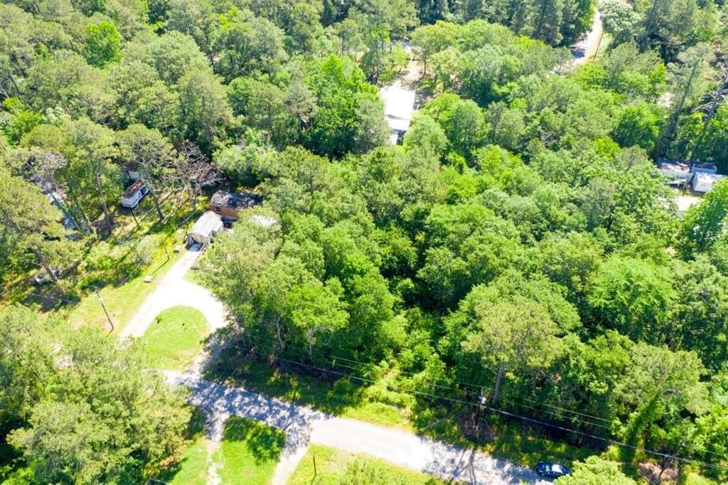 0.26 acres in Trinity County - photo 14