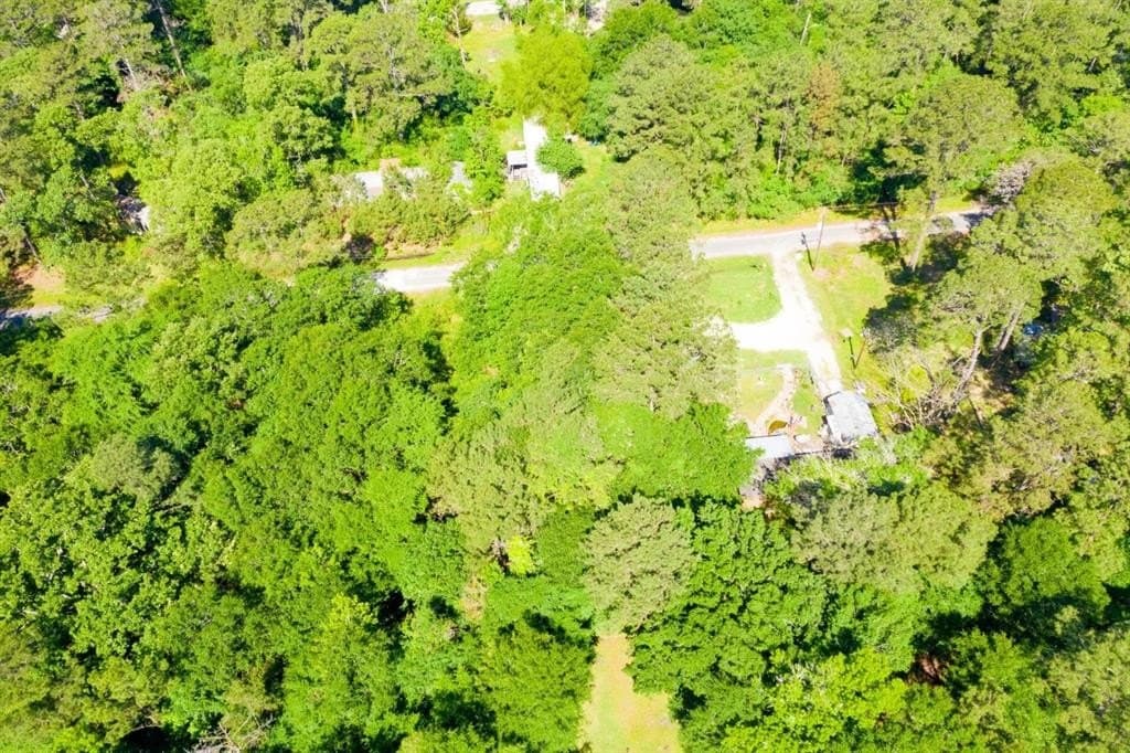 0.26 acres in Trinity County - photo 9