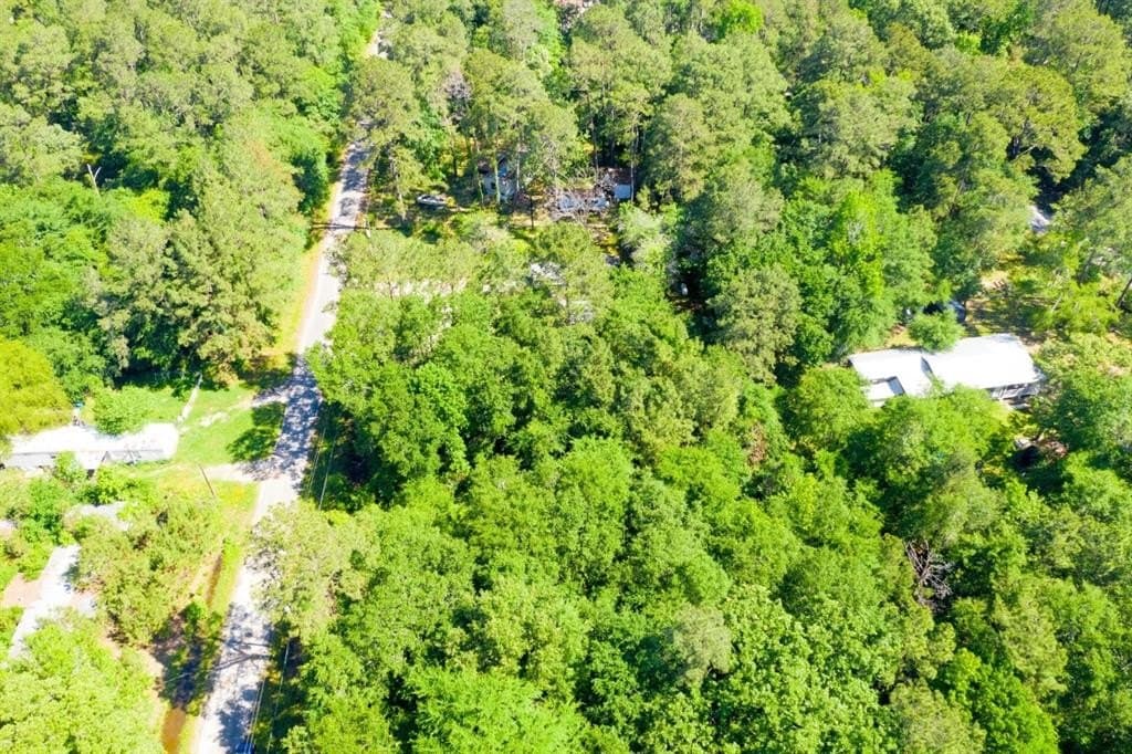 0.26 acres in Trinity County - photo 12