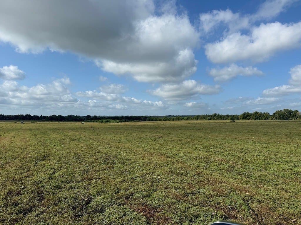 61.32 acres in Washington County - photo 6