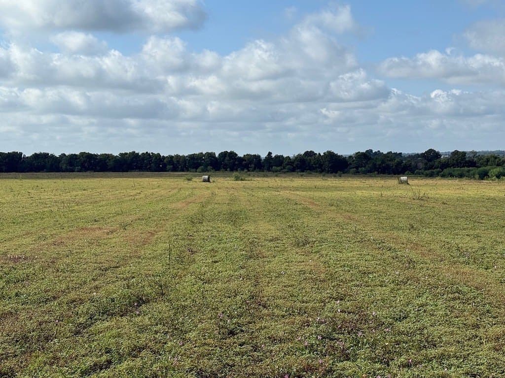 61.32 acres in Washington County - photo 2