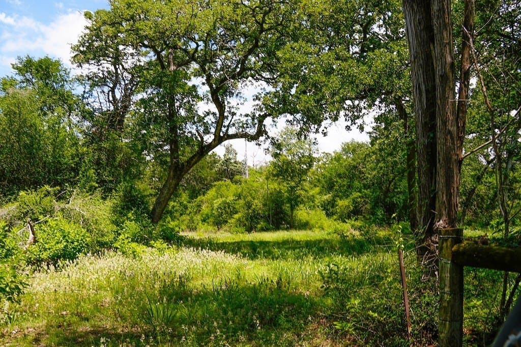 21.42 acres in Fayette County - photo 9