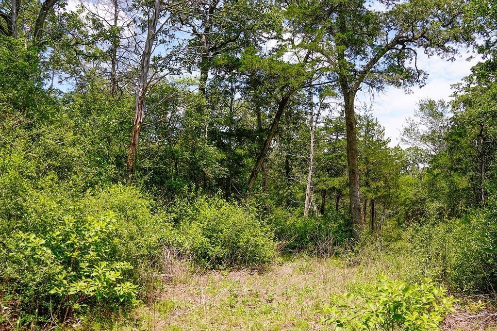 21.42 acres in Fayette County - photo 8