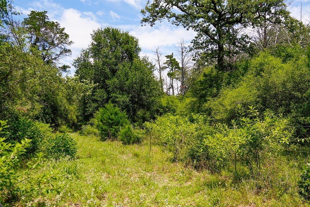 21.42 acres in Fayette County - photo 11