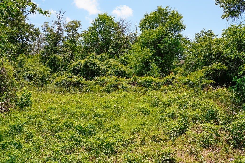 21.42 acres in Fayette County - photo 13