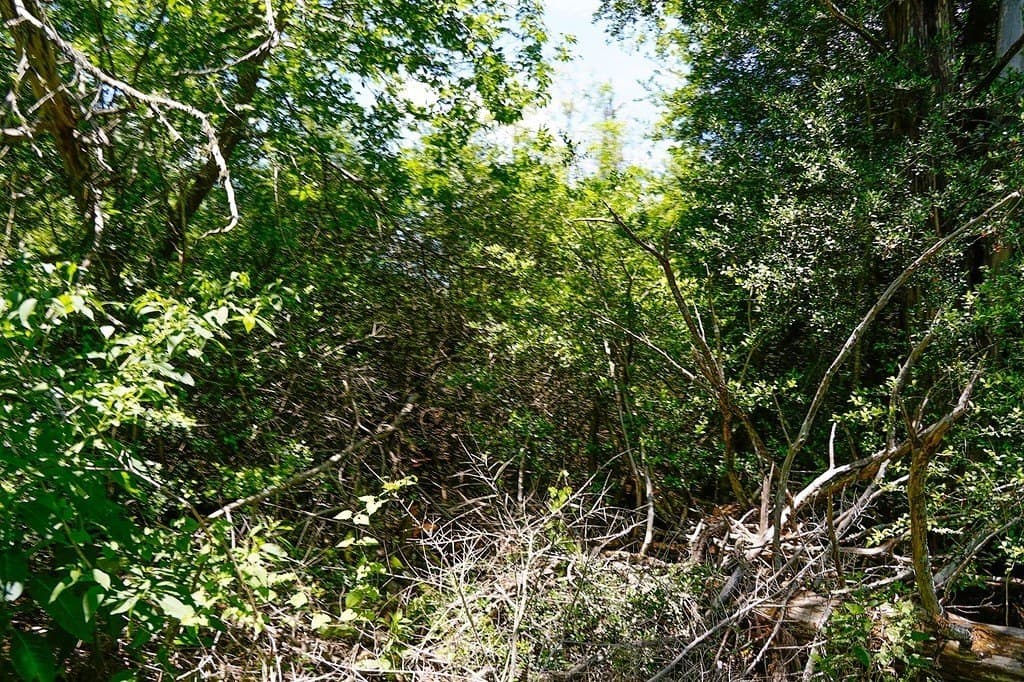 21.42 acres in Fayette County - photo 5