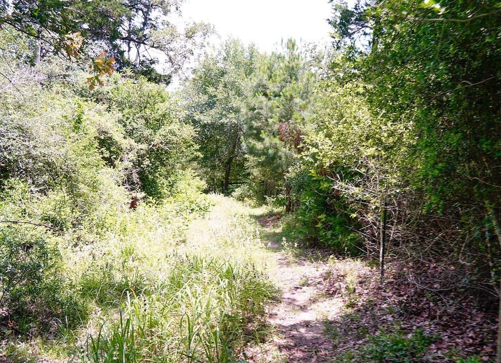 21.42 acres in Fayette County - photo 12